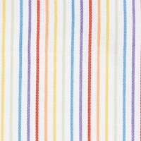 Assorted Rainbow Dishtowel (Set of 3)