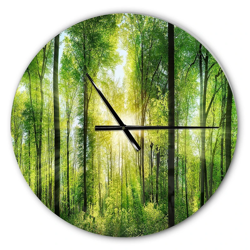 Designart Forest With Rays Of Sun Panorama Wall Clock