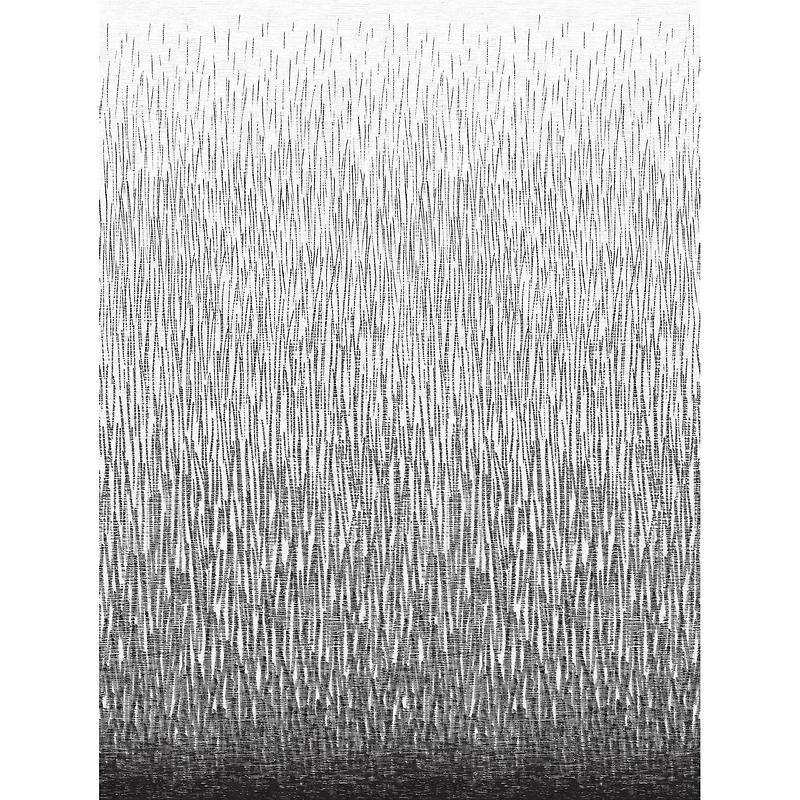 A-Street Prints Amaya Black Wall Mural