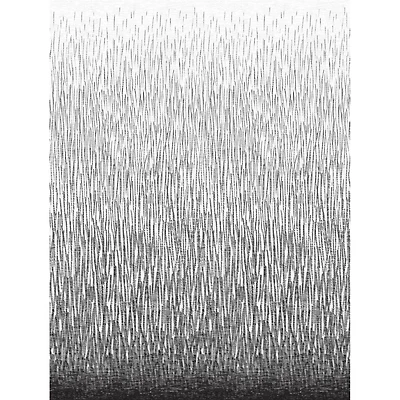 A-Street Prints Amaya Black Wall Mural