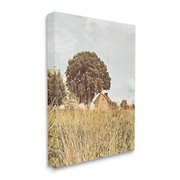 Stupell Industries Countryside Farm Meadow Tall Grass Summer Landscape Photography Canvas Wall Art
