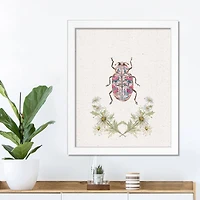 Floral Insect 16" x 20" White Framed Print Under Plexiglass
