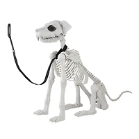 5ft. Poseable Dog Skeleton by Ashland®