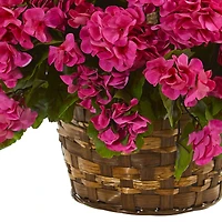 19'' Geranium Hanging Basket
