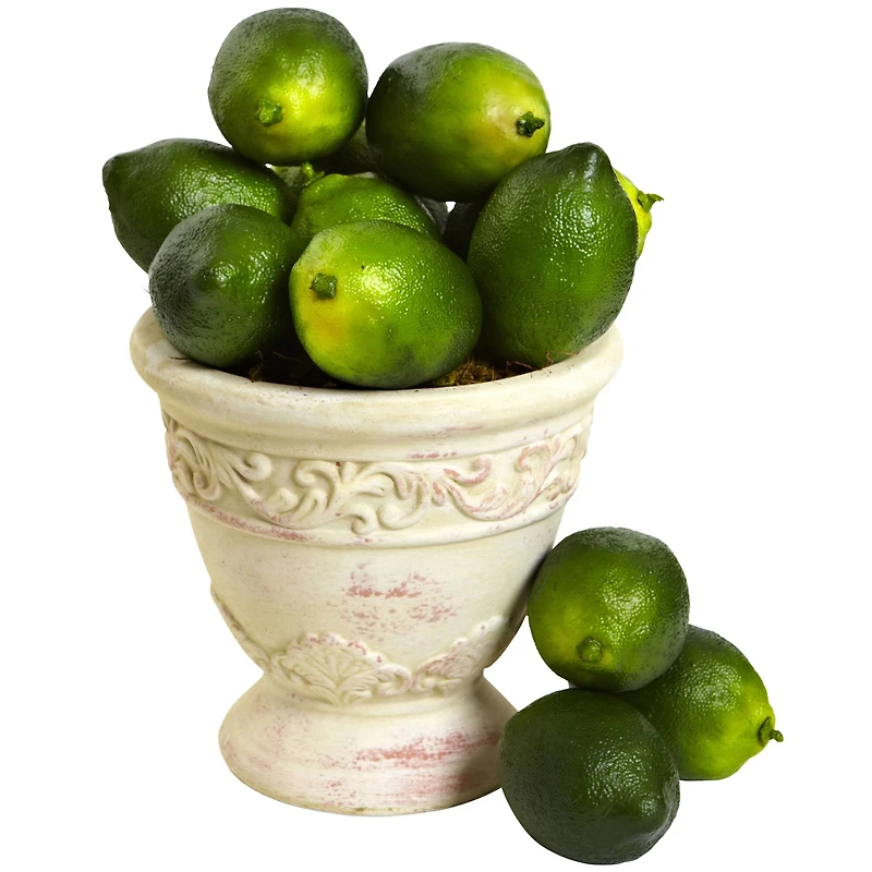 Faux Limes, 12ct.