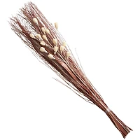 Brown & Cream Dried Foliage & Grass Arrangement