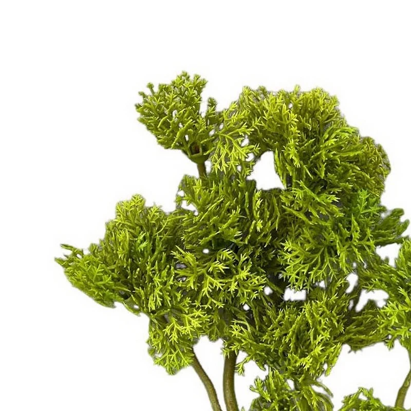 10.5" Moss Pick by Ashland®