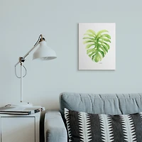 Stupell Industries Monstera Leaf Tropical Plant Over White Canvas Wall Art
