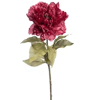27" Mauve Peony Stem by Ashland®
