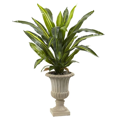 5ft. Dracaena Plant in Urn