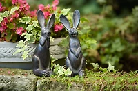 11.5" Brown Long Ear Rabbit Statues Set
