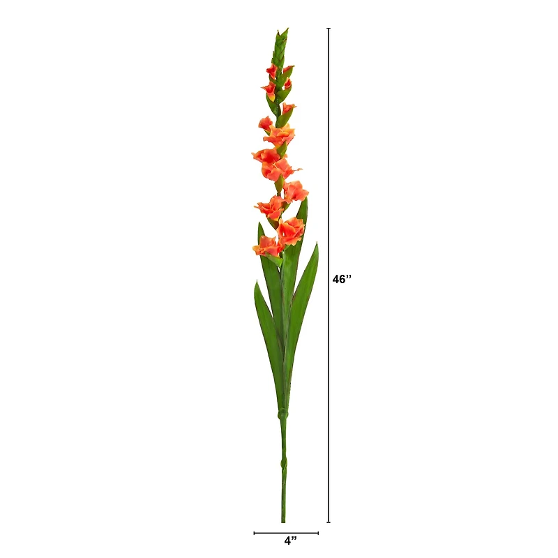 Salmon Gladiolus Flower Stems, 3ct.