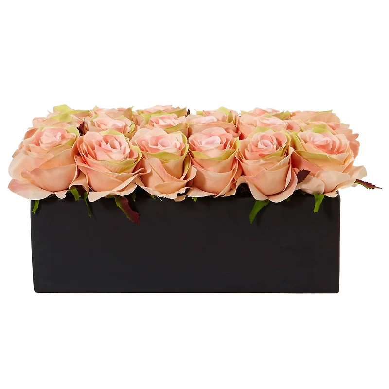 6'' Peach Roses in Black Planter