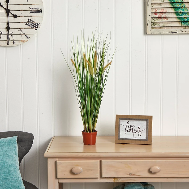 2.5ft. Potted Grass Plant
