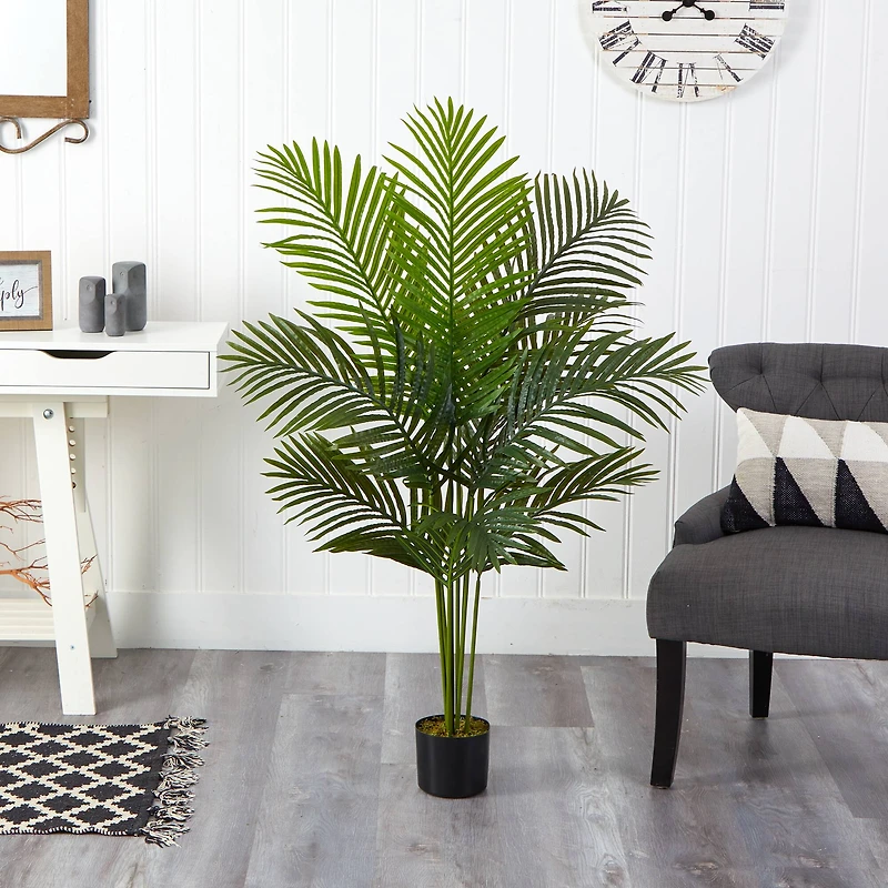 4ft. Potted Paradise Palm Tree