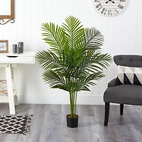 4ft. Potted Paradise Palm Tree