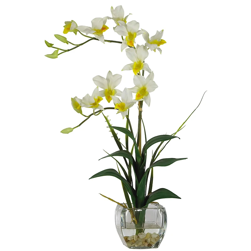 22" Dendrobium Arrangement in Glass Vase