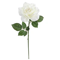 6 Pack: White Rose Stem by Ashland®