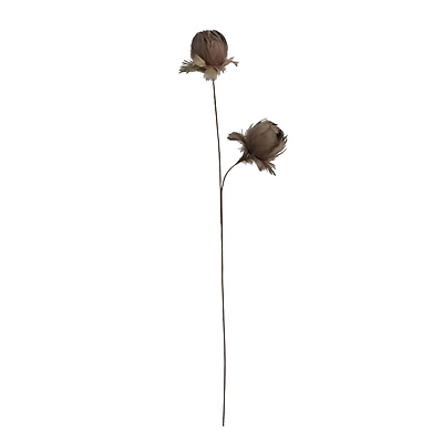 Hello Honey® 28.25" Taupe Organic Feather Flower Stem
