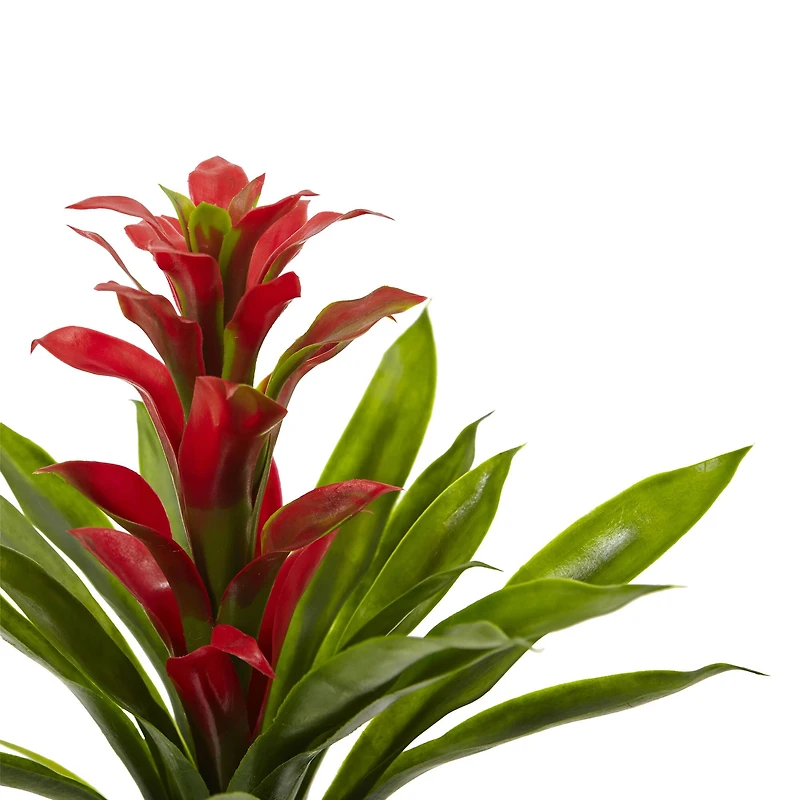 Red Bromeliad Flower, 4ct.