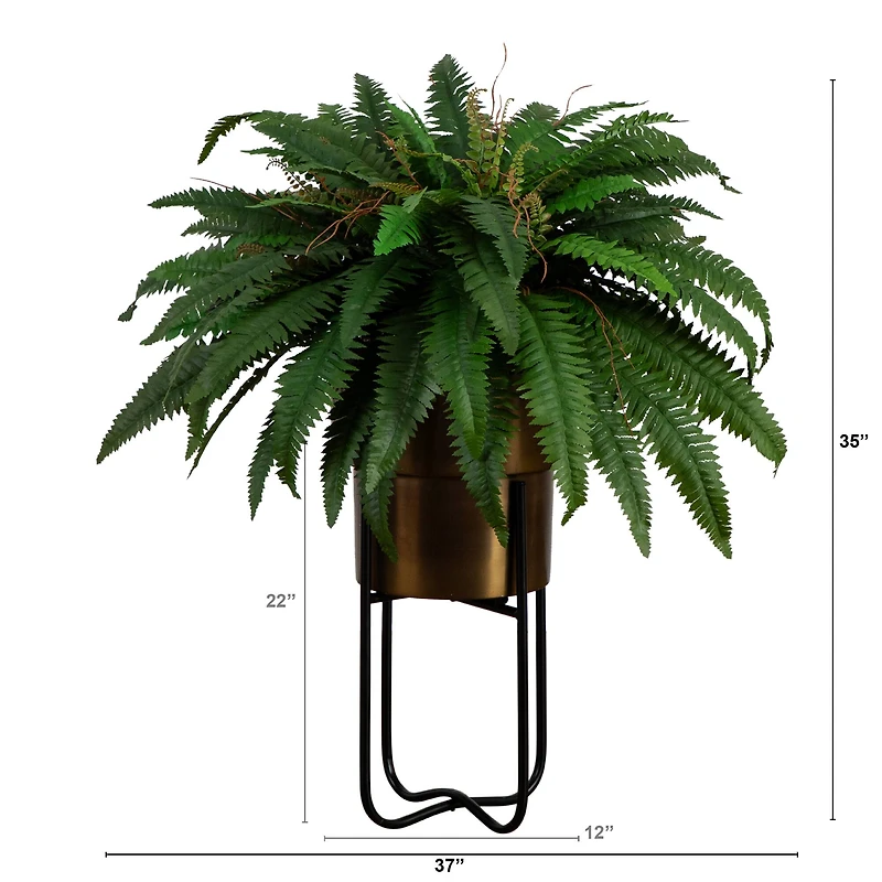 3ft. Boston Fern in Brass Metal Planter with Stand