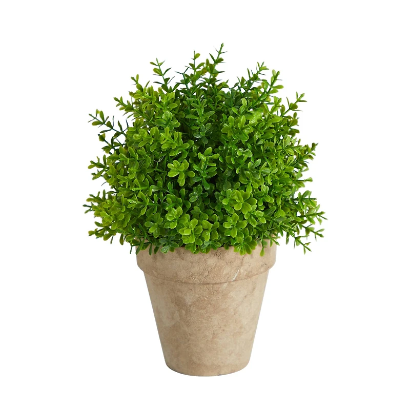 8'' Boxwood Artificial Plant in Decorative Planter
