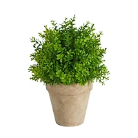 8'' Boxwood Artificial Plant in Decorative Planter