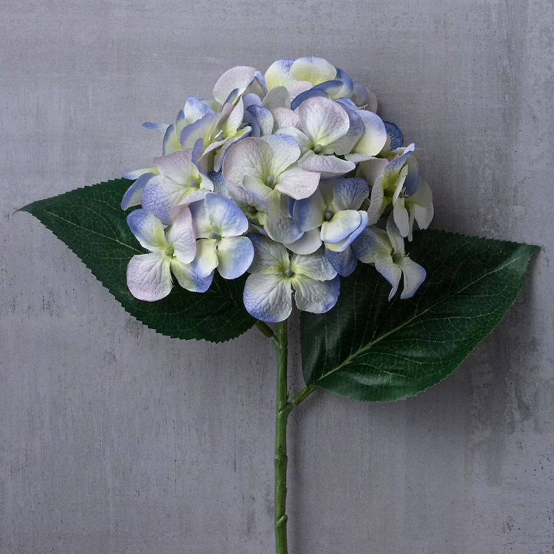 12 Pack: Indigo & Green Hydrangea Stem by Ashland®