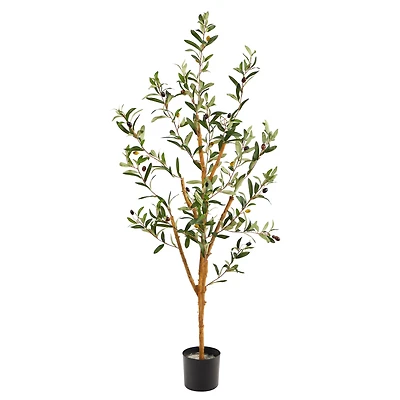 3.5ft. Potted Sparse Olive Tree