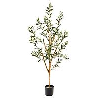 3.5ft. Potted Sparse Olive Tree