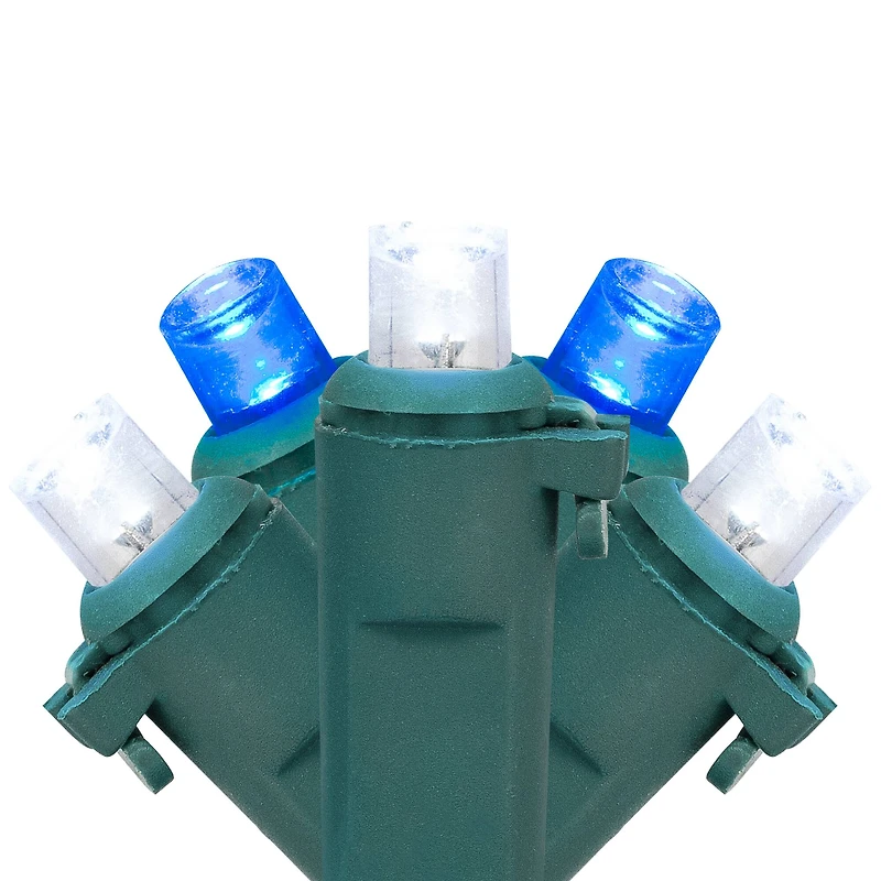 50ct Blue and White LED Wide Angle Mini Christmas Lights  16.25ft Green Wire