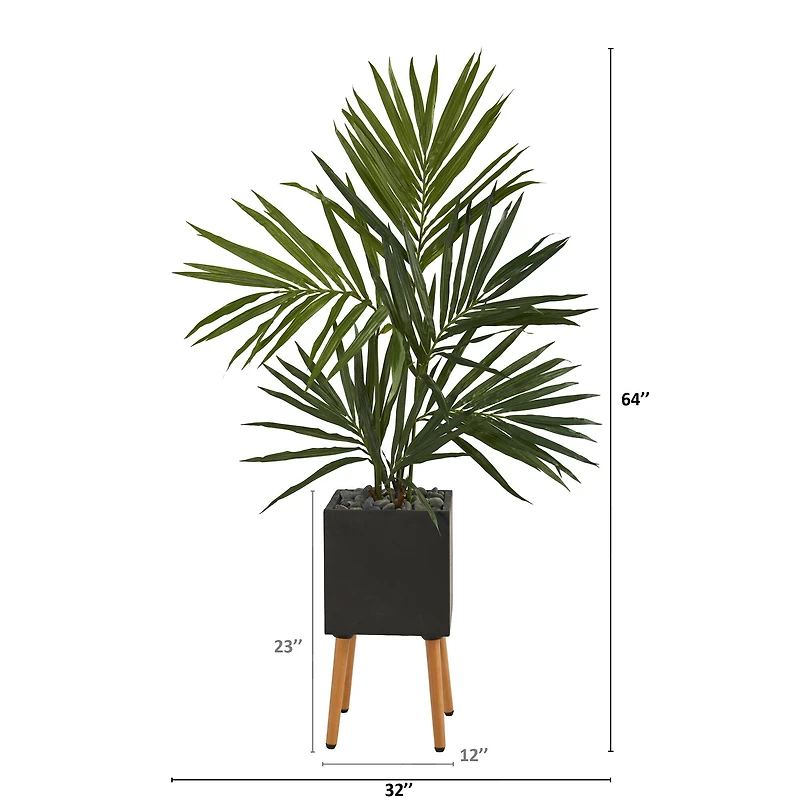 5.5ft. Kentia Palm Tree in Black Planter with Stand