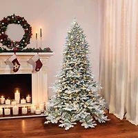 6.5ft. Pre-Lit Flocked Royal Majestic Fir Artificial Christmas Tree, Clear Lights