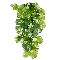 12 Pack: Split Hanging Philo Bush by Ashland®