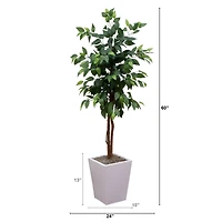 5ft. Artificial Ficus Tree in White Metal Square Planter
