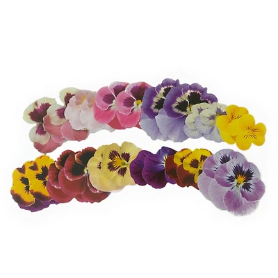 Pansy Die Cut Stickers by Recollections™