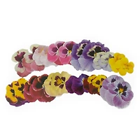 Pansy Die Cut Stickers by Recollections™