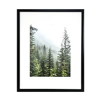 3 Pack Gallery™ 11" x 14" Black Frame with Mat by Studio Décor®