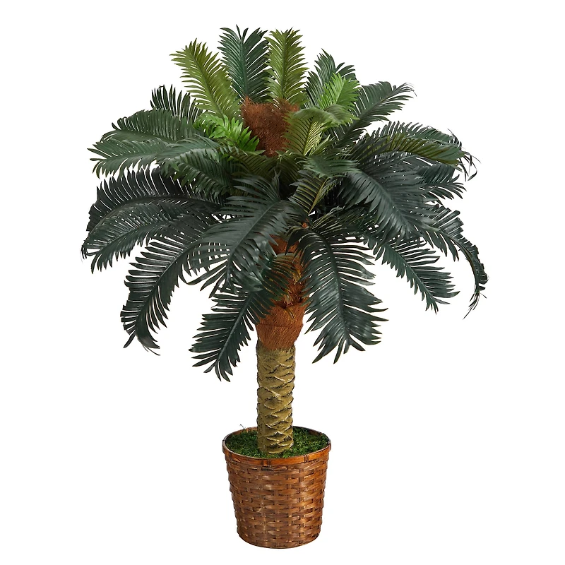 3ft. Sago Palm Tree in Woven Planter