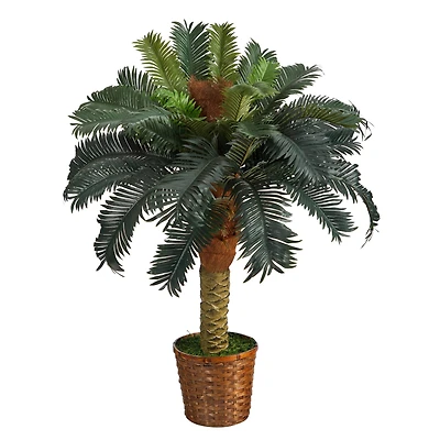 3ft. Sago Palm Tree in Woven Planter