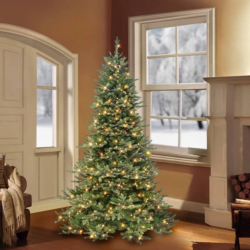 6.5ft. Pre-Lit Royal Majestic Douglas Fir Artificial Christmas Tree, Clear Lights