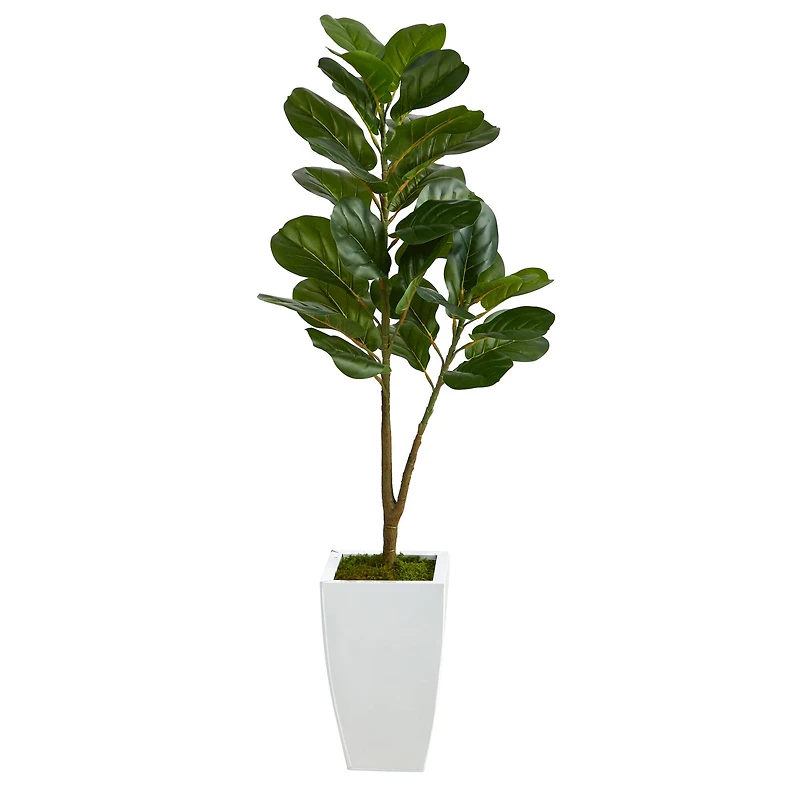4ft. Fiddle Leaf Fig Tree in White Metal Planter
