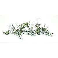 Luca-s Pease Counted Cross Stitch Kit