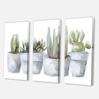 Designart - Cactus and Succulent House Plants V