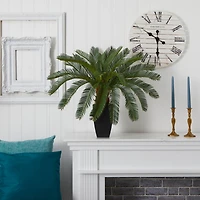 2.5ft. Cycas In Black Planter