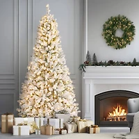 6.5ft. Pre-Lit Snowy Mixed Pine Artificial Christmas Tree, Clear Lights