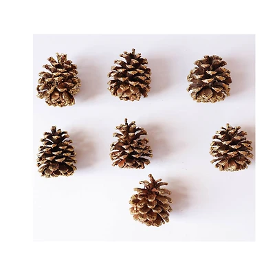 Gold Glitter Pinecones by Ashland®