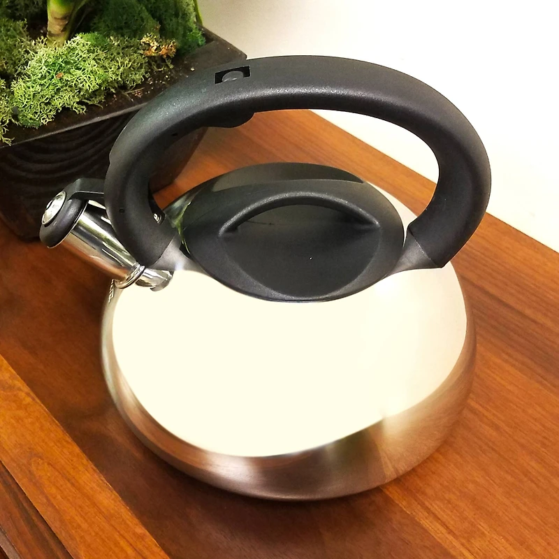 Mr. Coffee Harpwell 2qt. Whistling Tea Kettle