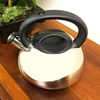 Mr. Coffee Harpwell 2qt. Whistling Tea Kettle