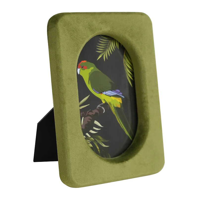 Safari 4" x 6" Velvet Frame with Round Opening by Ashland